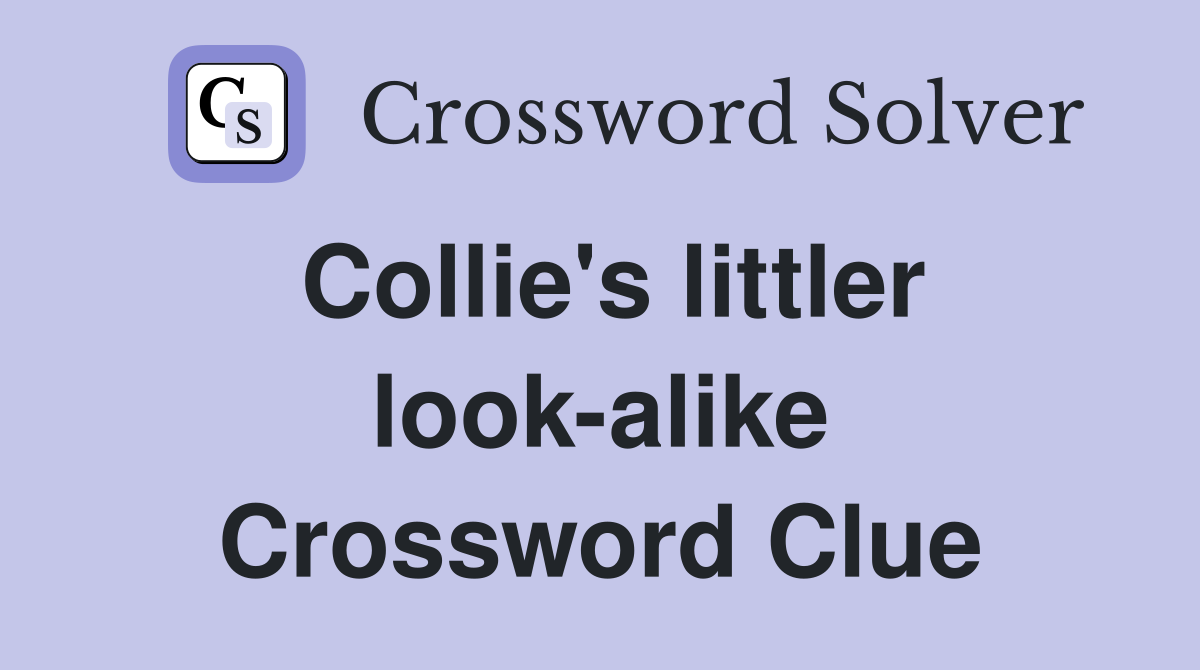Collie's littler look-alike Crossword Clue