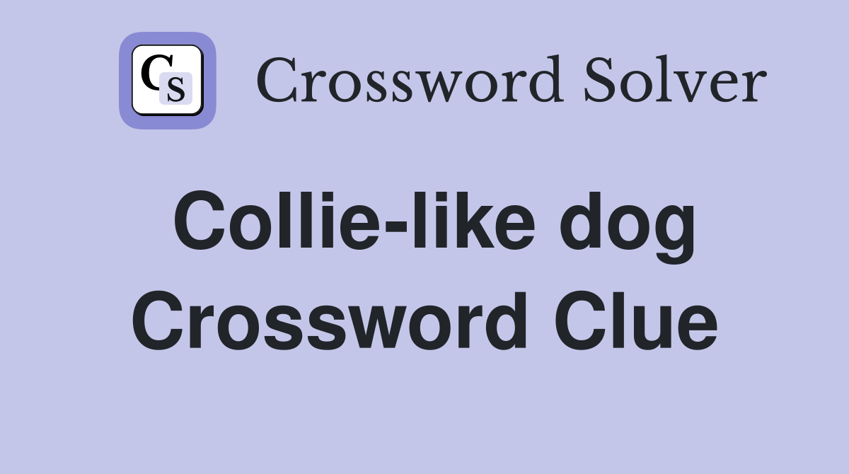 Collie-like dog Crossword Clue