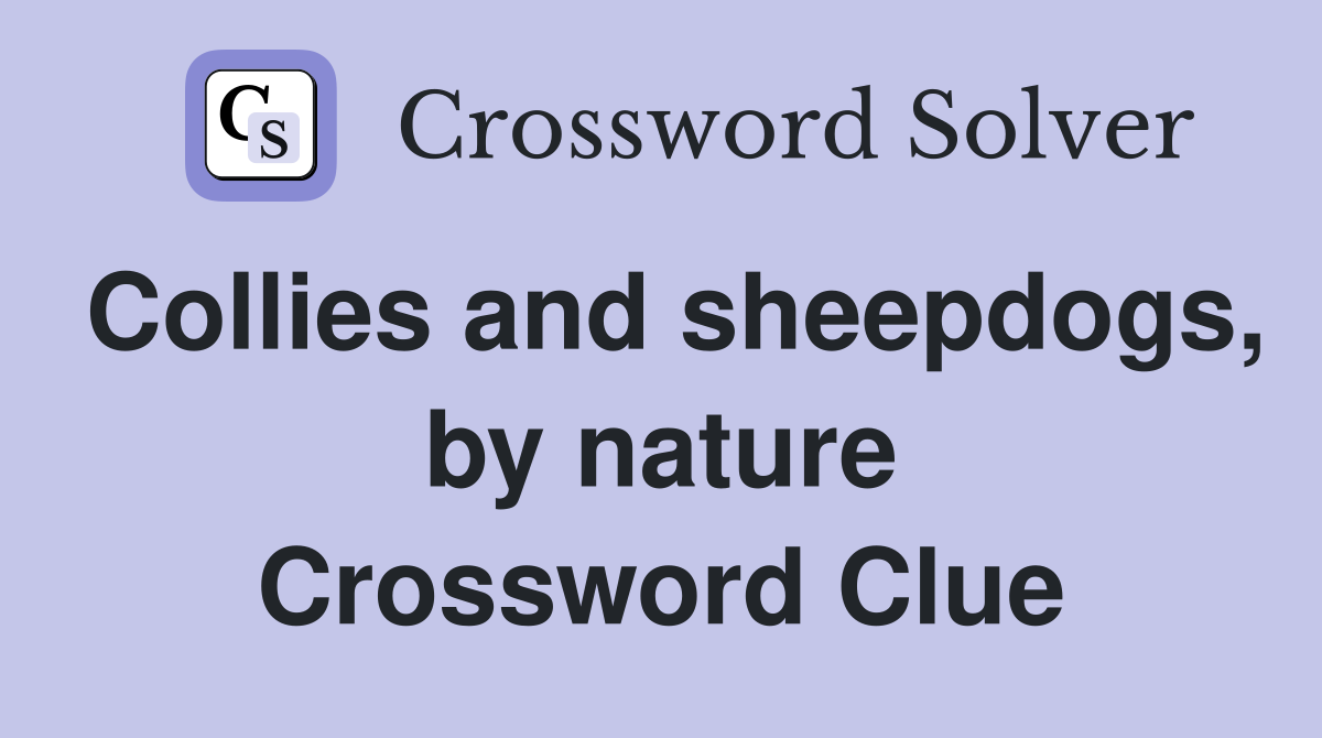 Collies and sheepdogs, by nature Crossword Clue