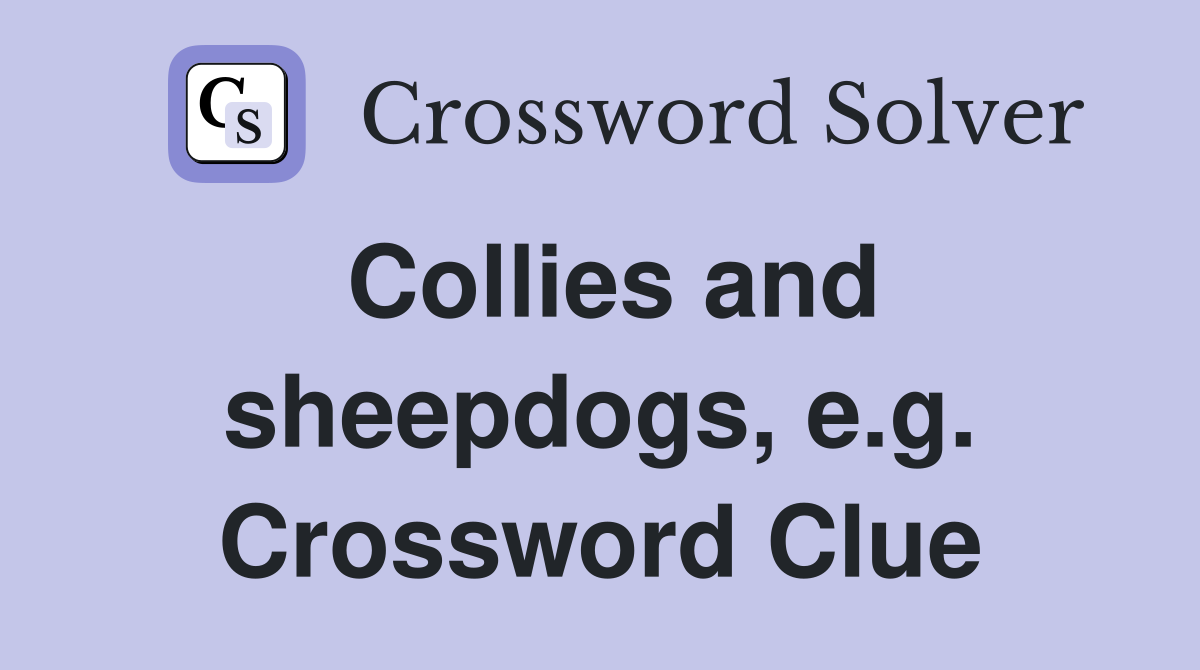 Collies and sheepdogs, e.g. Crossword Clue