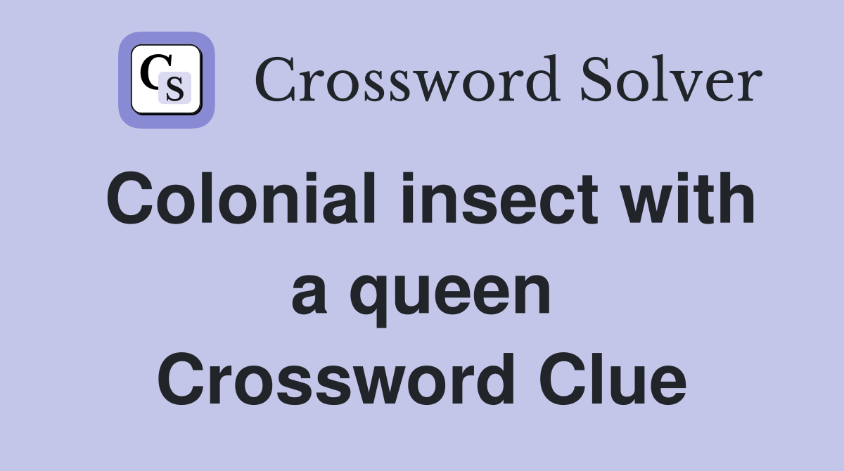 Colonial insect with a queen Crossword Clue