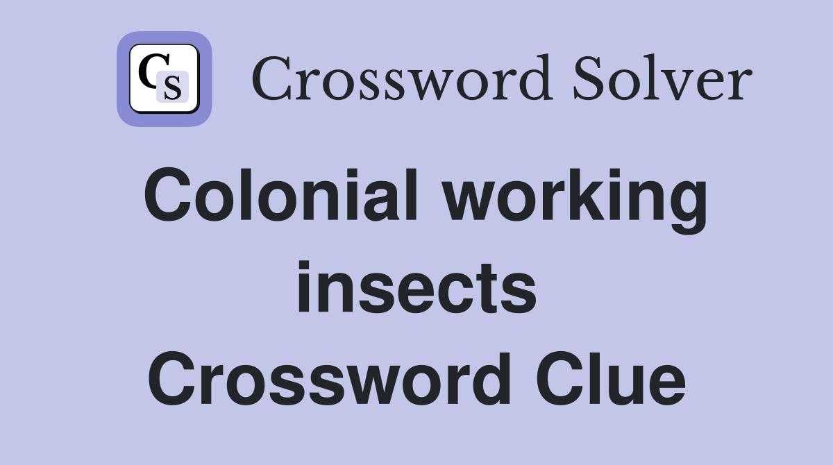 Colonial working insects Crossword Clue