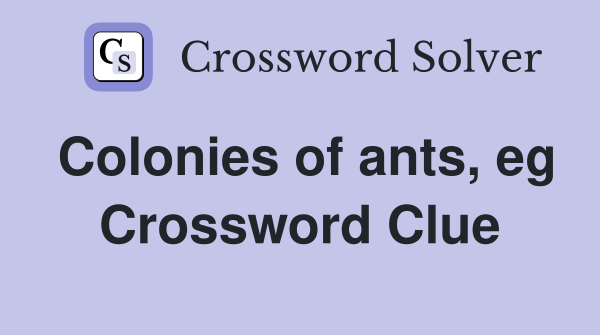 Colonies of ants, eg Crossword Clue