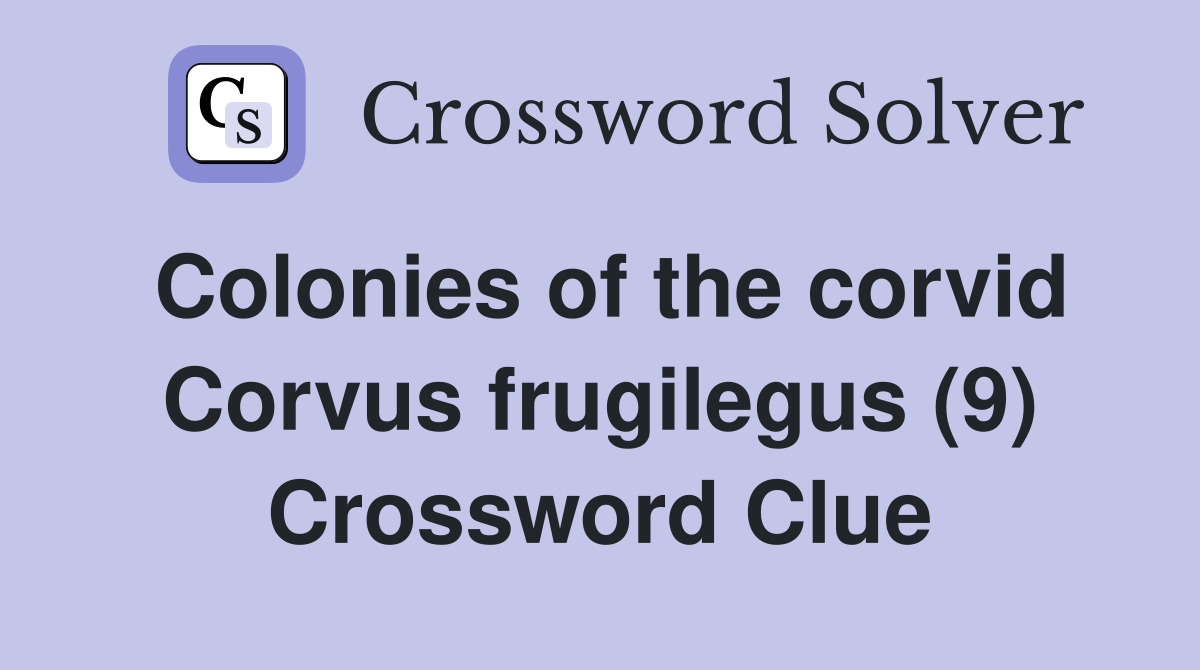 Colonies of the corvid Corvus frugilegus (9) Crossword Clue