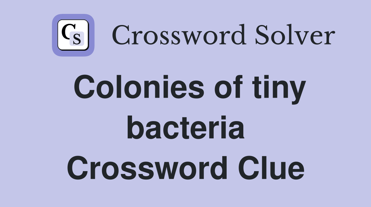 Colonies of tiny bacteria Crossword Clue