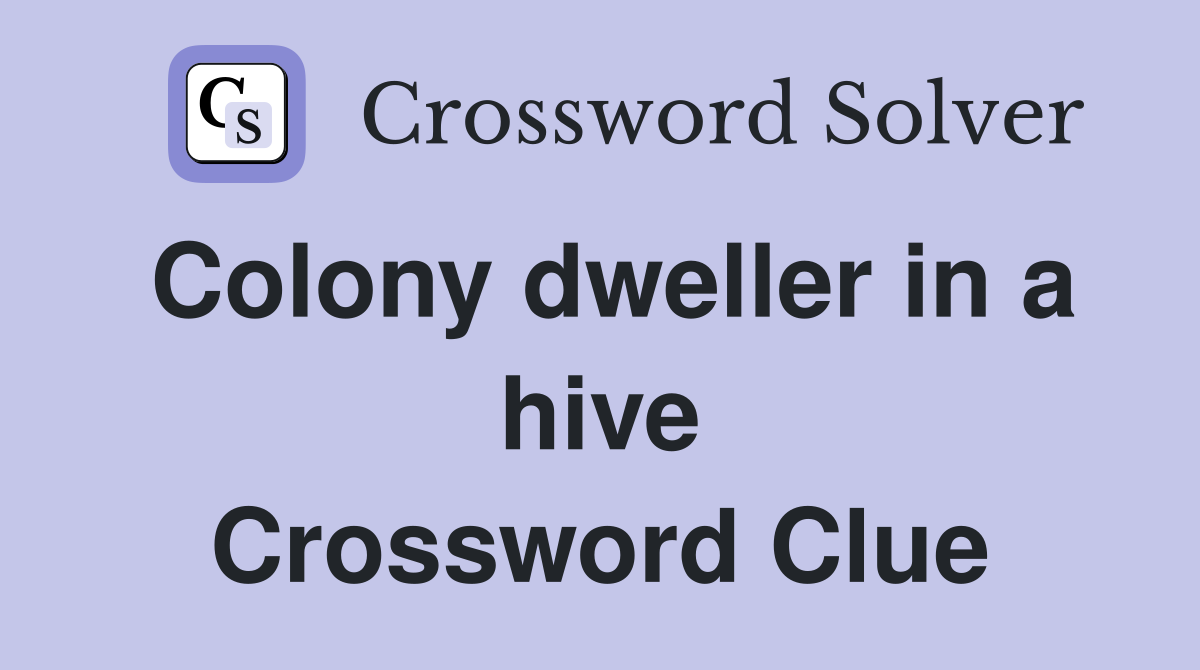 Colony dweller in a hive Crossword Clue