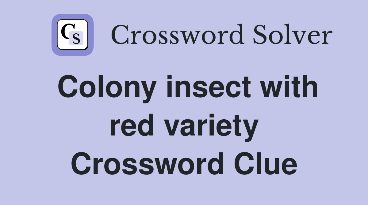 Colony insect with red variety Crossword Clue