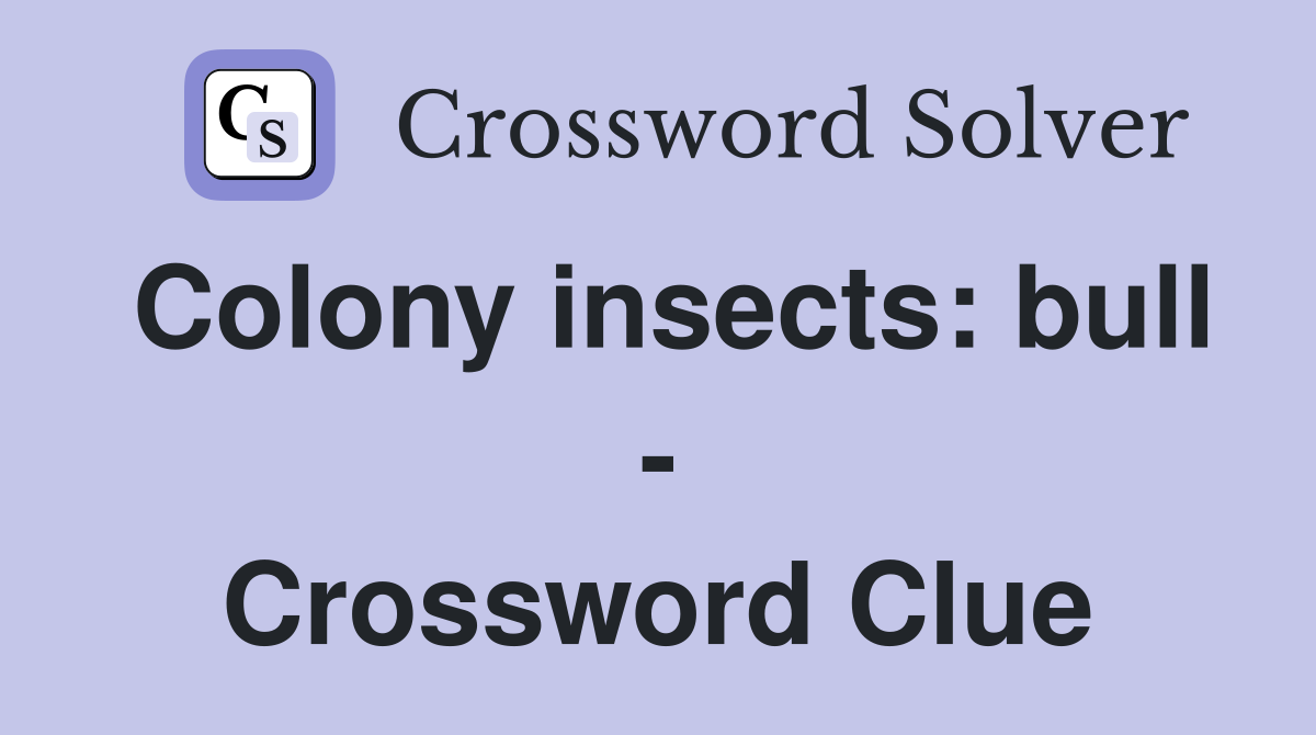 Colony insects: bull - Crossword Clue