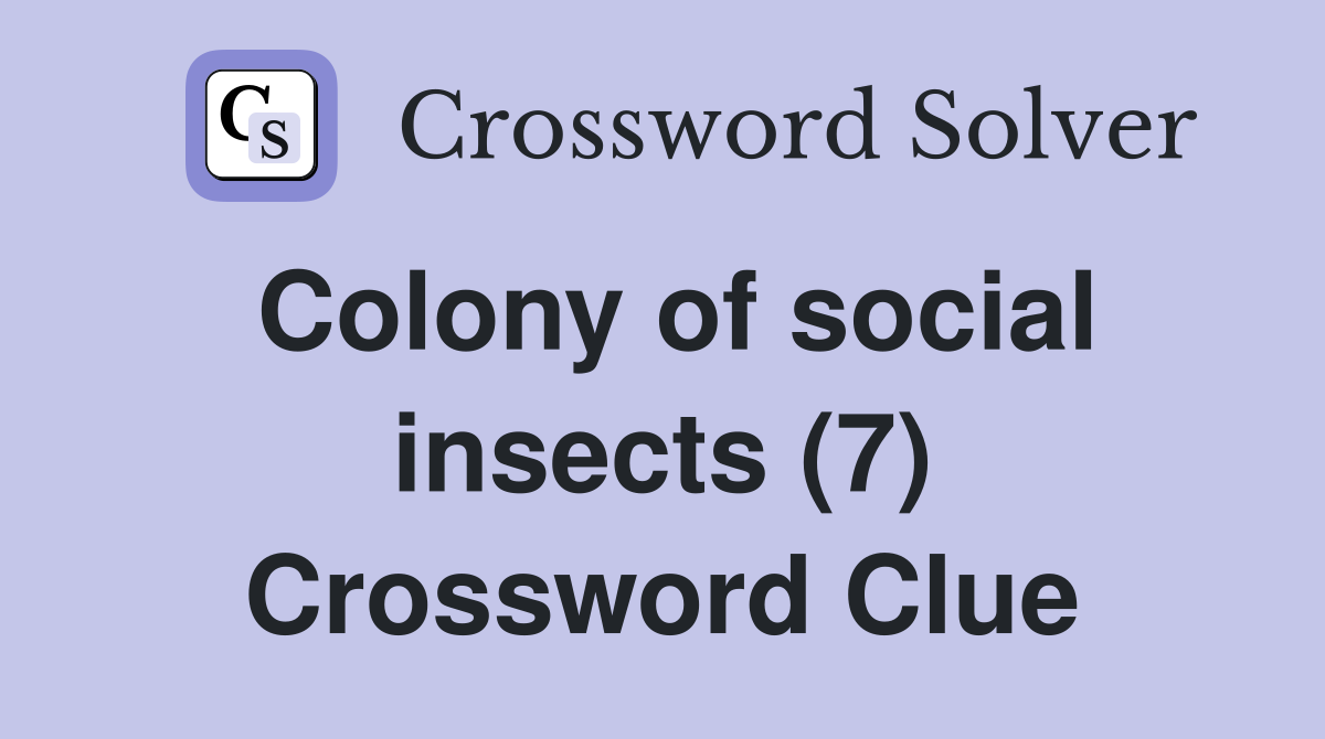 Colony of social insects (7) Crossword Clue