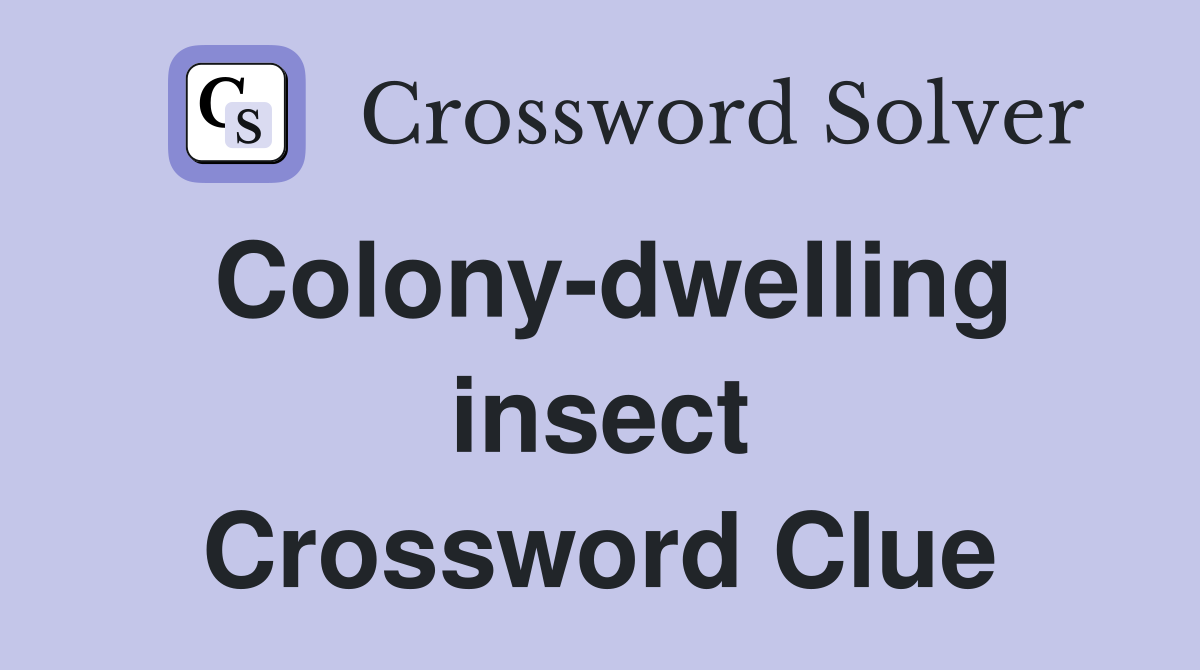 Colony-dwelling insect Crossword Clue