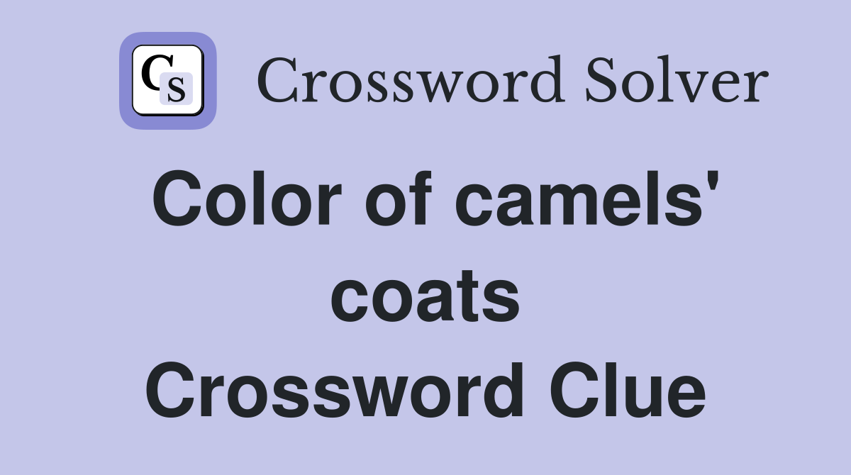 Color of camels' coats Crossword Clue