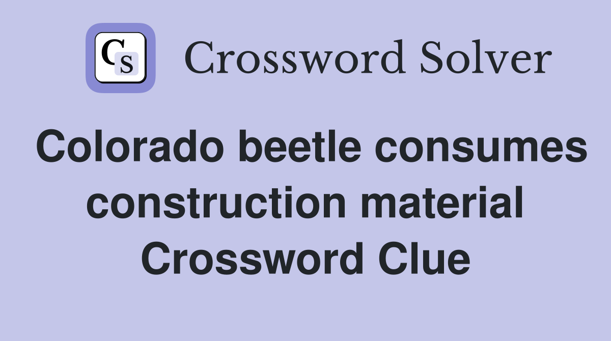 Colorado beetle consumes construction material Crossword Clue