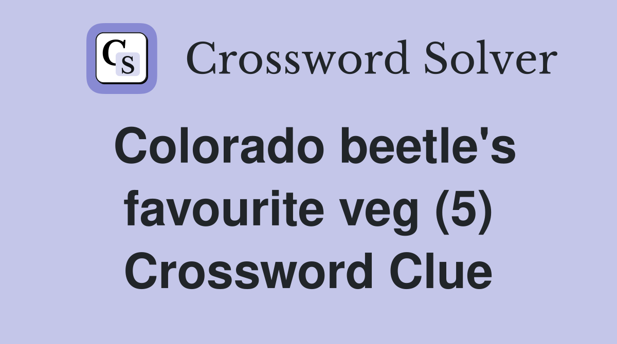Colorado beetle's favourite veg (5) Crossword Clue