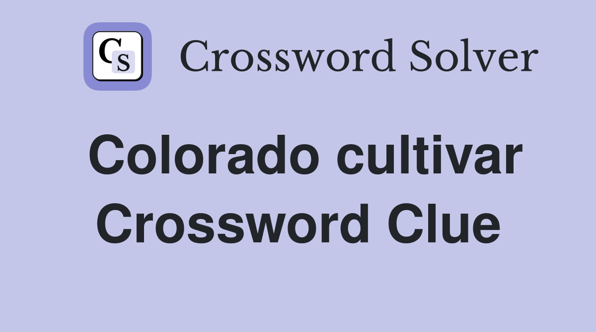 Colorado cultivar Crossword Clue