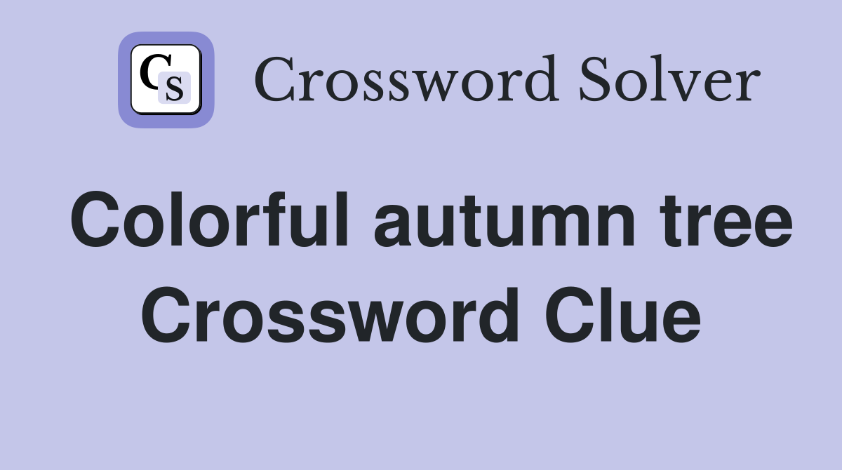Colorful autumn tree Crossword Clue