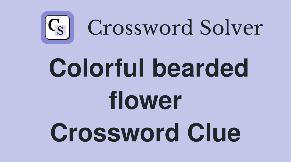 Colorful bearded flower Crossword Clue