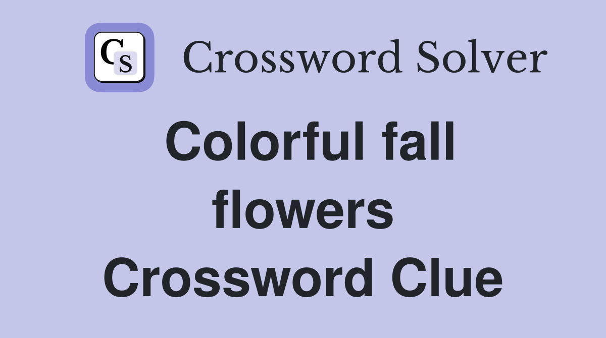 Colorful fall flowers Crossword Clue