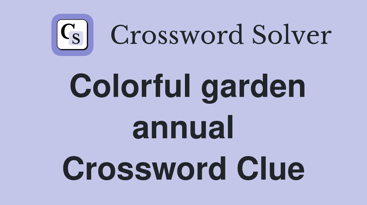 Colorful garden annual Crossword Clue