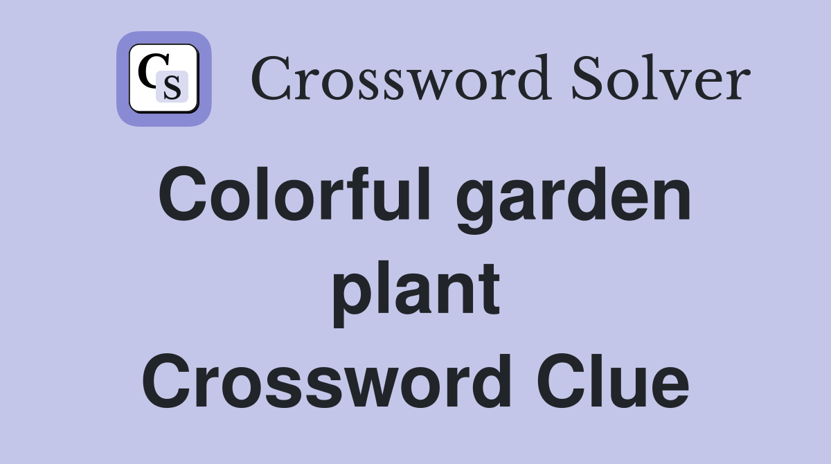 Colorful garden plant Crossword Clue