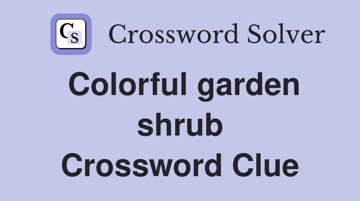 Colorful garden shrub Crossword Clue