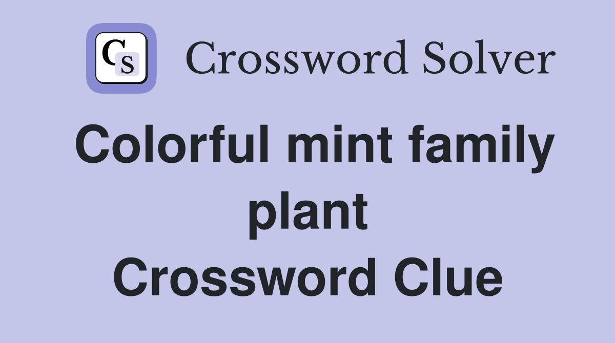 Colorful mint family plant Crossword Clue