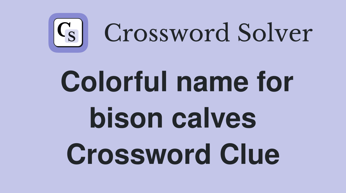 Colorful name for bison calves Crossword Clue