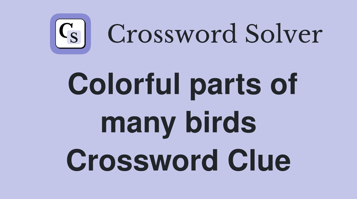 Colorful parts of many birds Crossword Clue