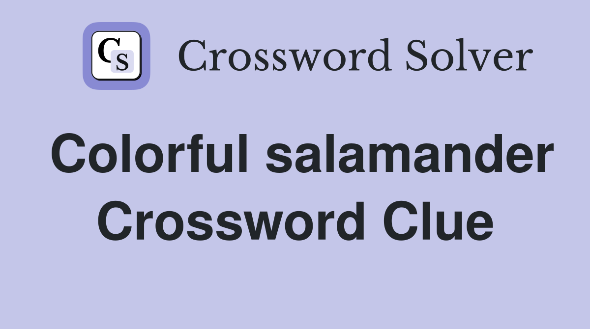 Colorful salamander Crossword Clue