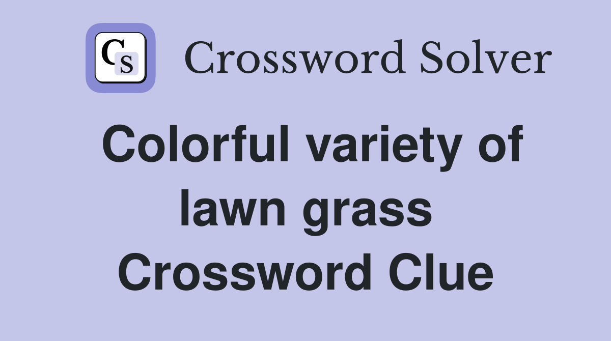 Colorful variety of lawn grass Crossword Clue