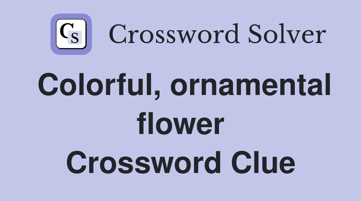 Colorful, ornamental flower Crossword Clue