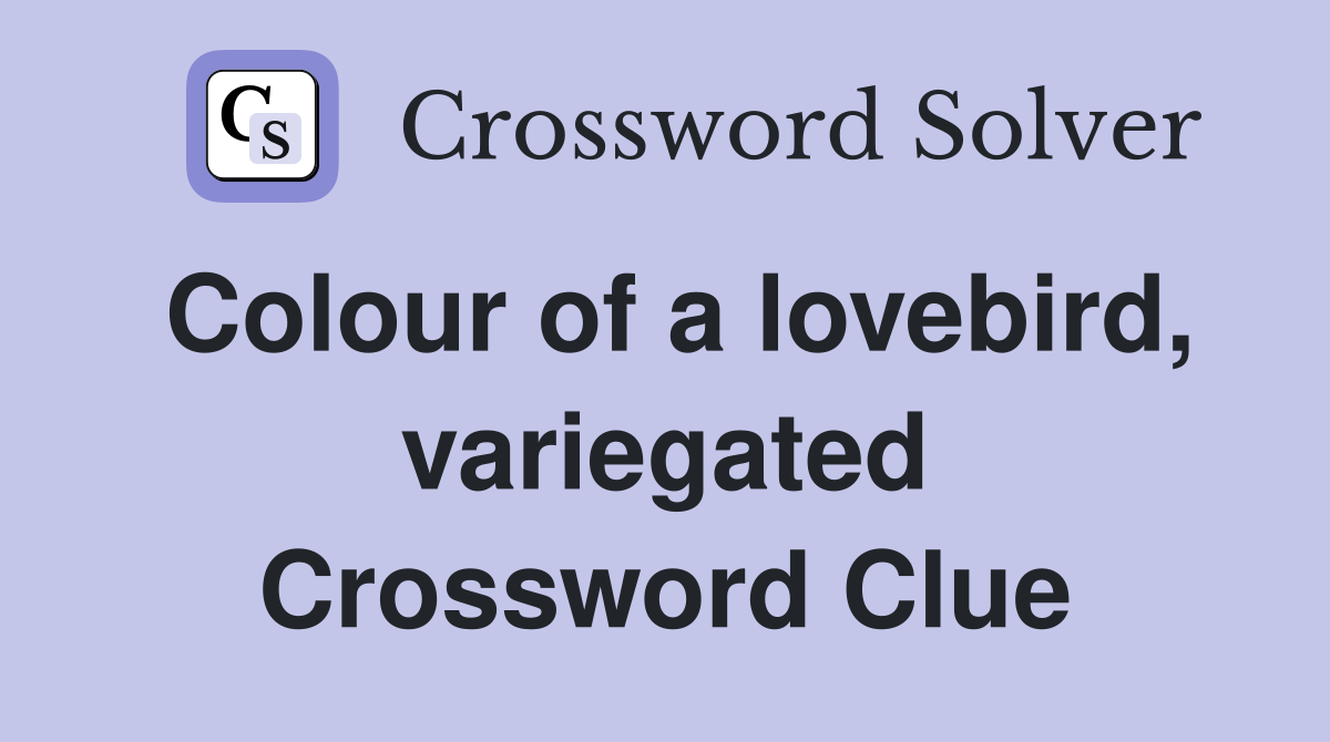 Colour of a lovebird, variegated Crossword Clue