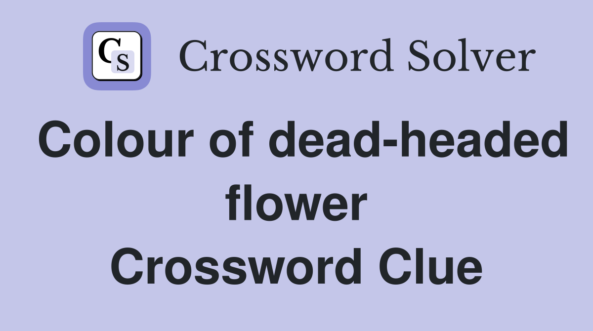 Colour of dead-headed flower Crossword Clue