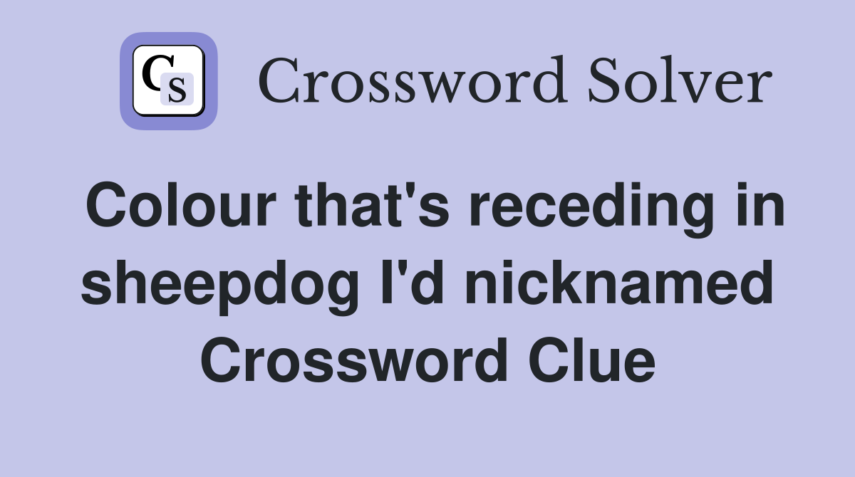 Colour that's receding in sheepdog I'd nicknamed Crossword Clue