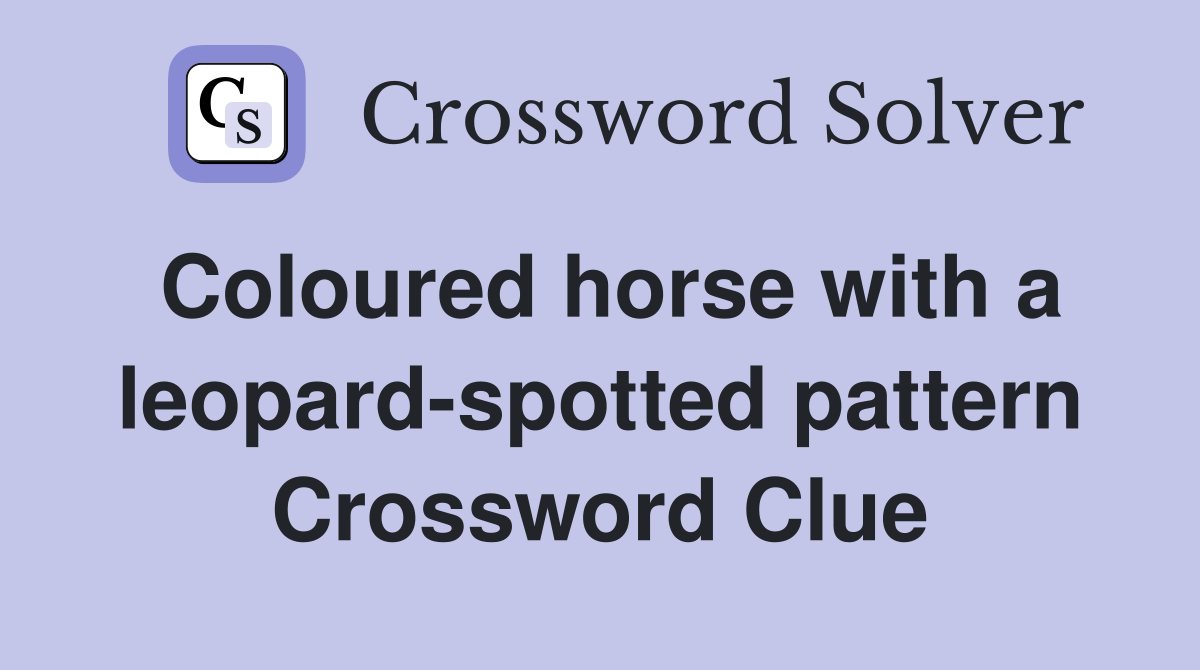 Coloured horse with a leopard-spotted pattern Crossword Clue