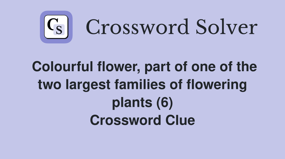 Colourful flower, part of one of the two largest families of flowering plants (6) Crossword Clue