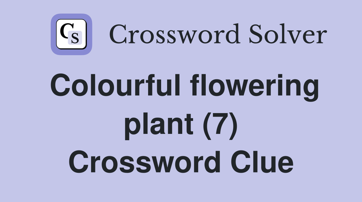 Colourful flowering plant (7) Crossword Clue