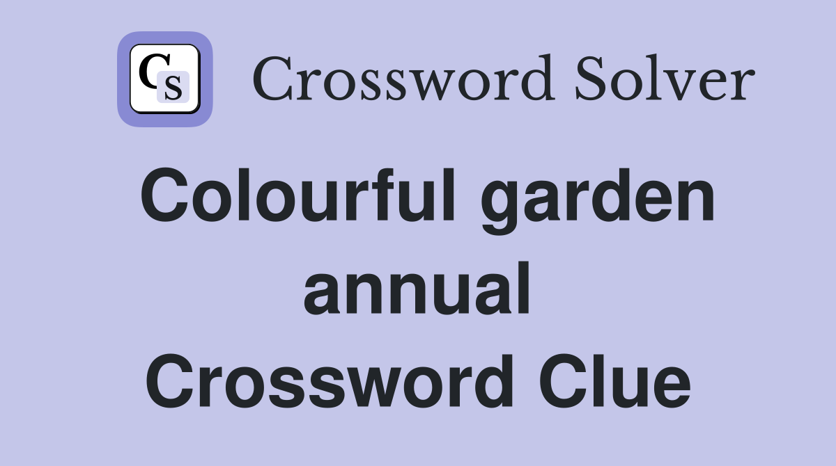 Colourful garden annual Crossword Clue