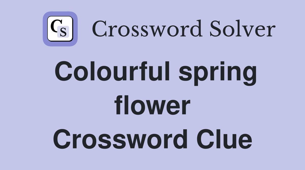 Colourful spring flower Crossword Clue
