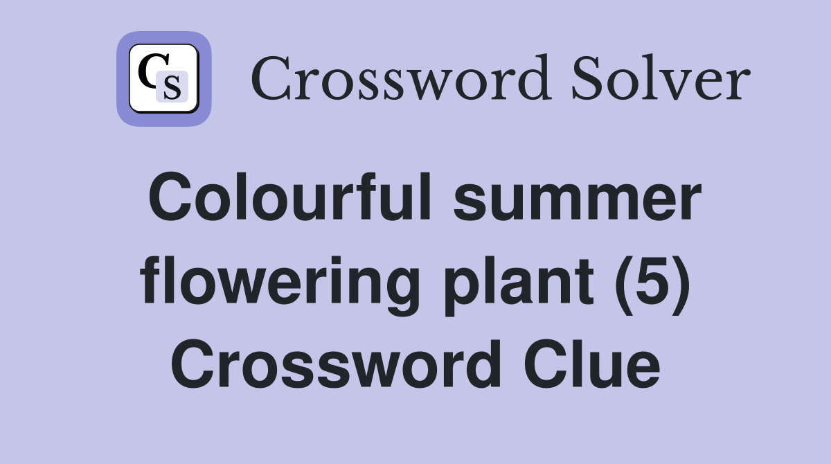 Colourful summer flowering plant (5) Crossword Clue
