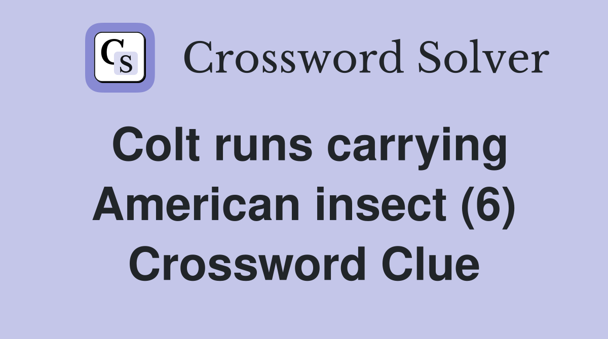 Colt runs carrying American insect (6) Crossword Clue