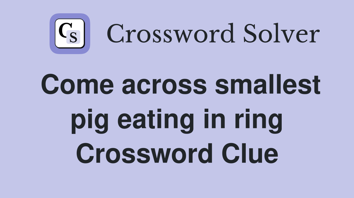 Come across smallest pig eating in ring Crossword Clue