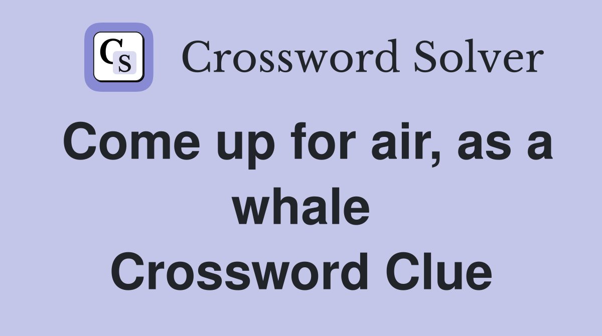 Come up for air, as a whale Crossword Clue