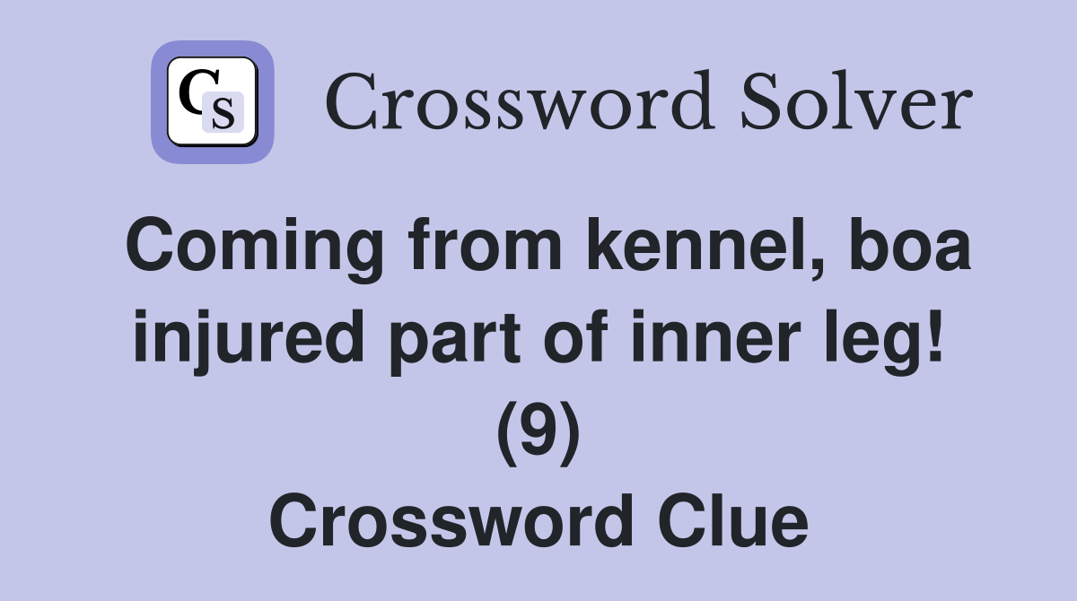 Coming from kennel, boa injured part of inner leg! (9) Crossword Clue