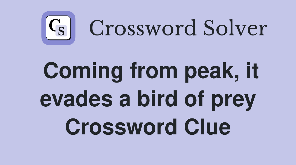 Coming from peak, it evades a bird of prey Crossword Clue