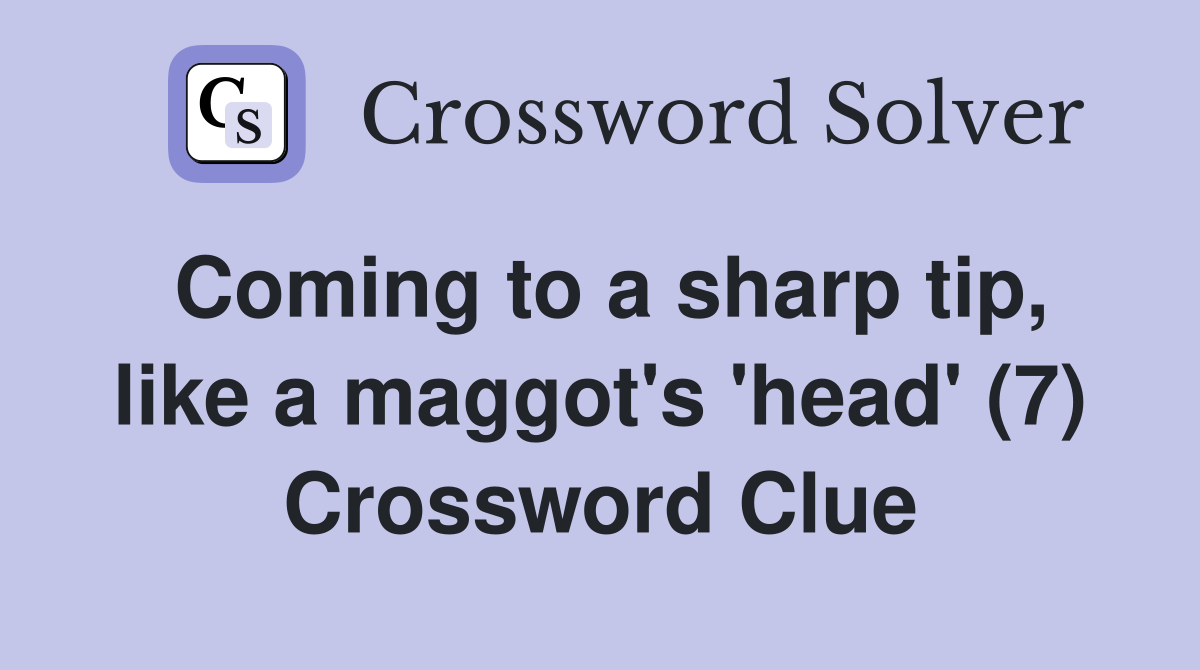 Coming to a sharp tip, like a maggot's 'head' (7) Crossword Clue