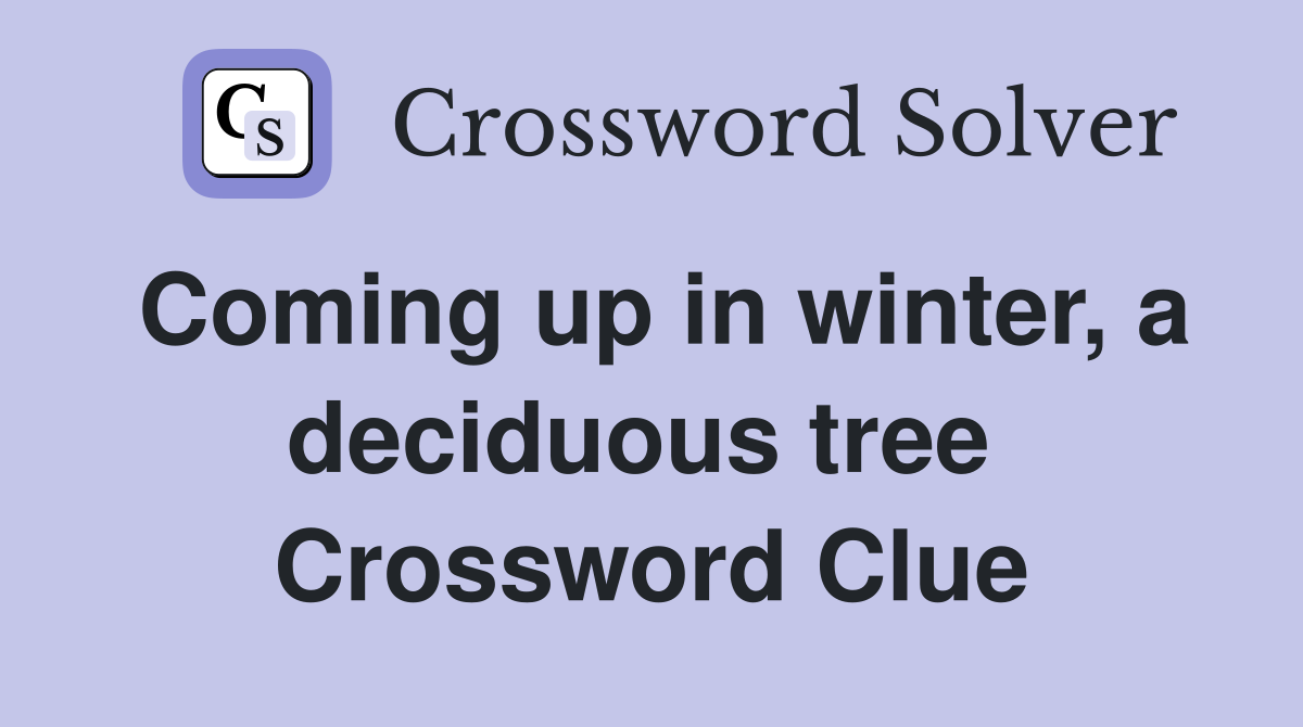 Coming up in winter, a deciduous tree  Crossword Clue