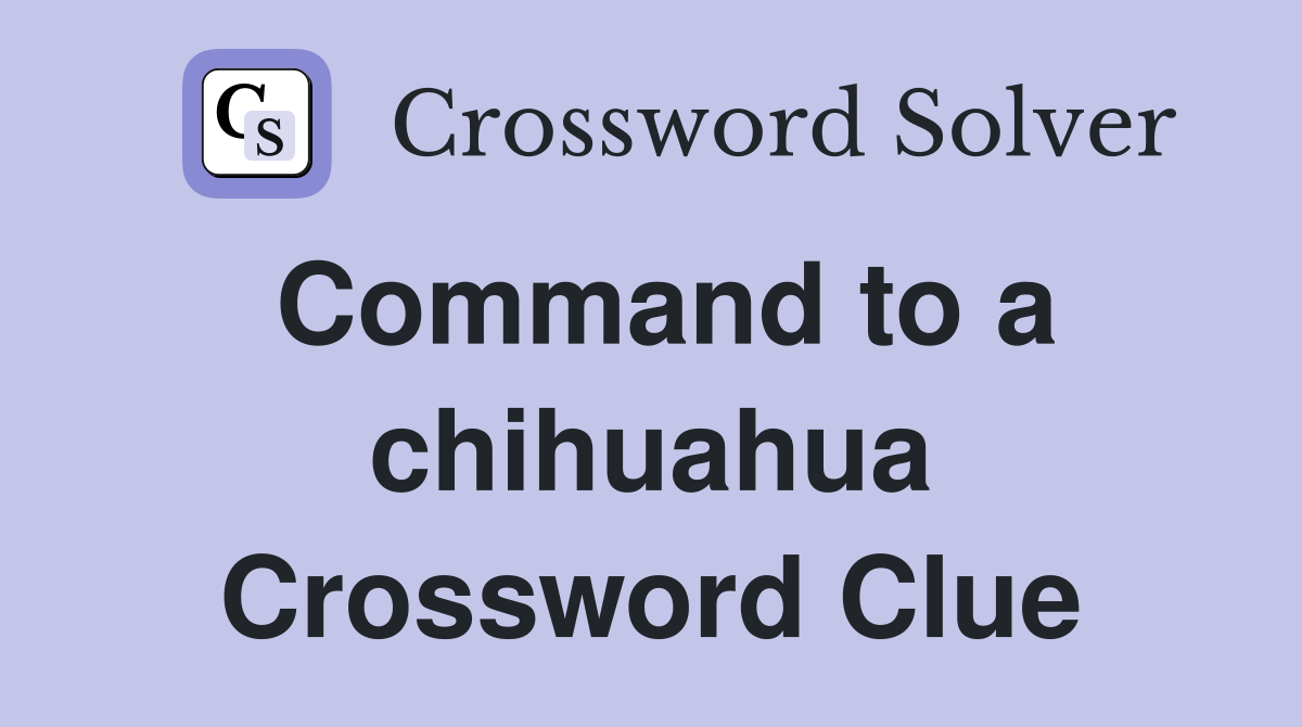 Command to a chihuahua Crossword Clue