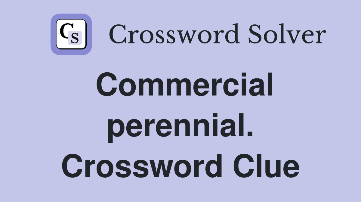 Commercial perennial. Crossword Clue