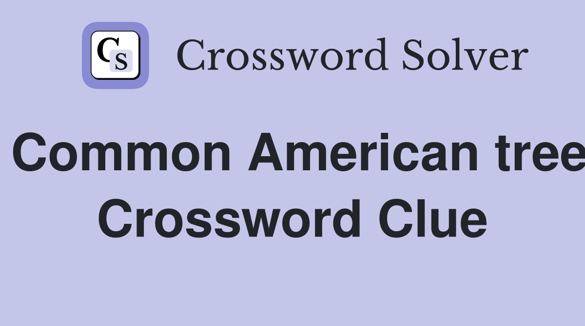 Common American tree Crossword Clue
