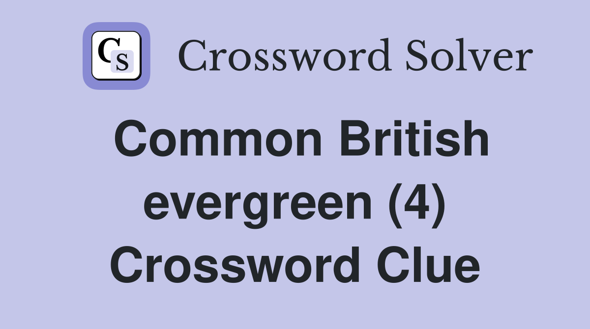 Common British evergreen (4) Crossword Clue